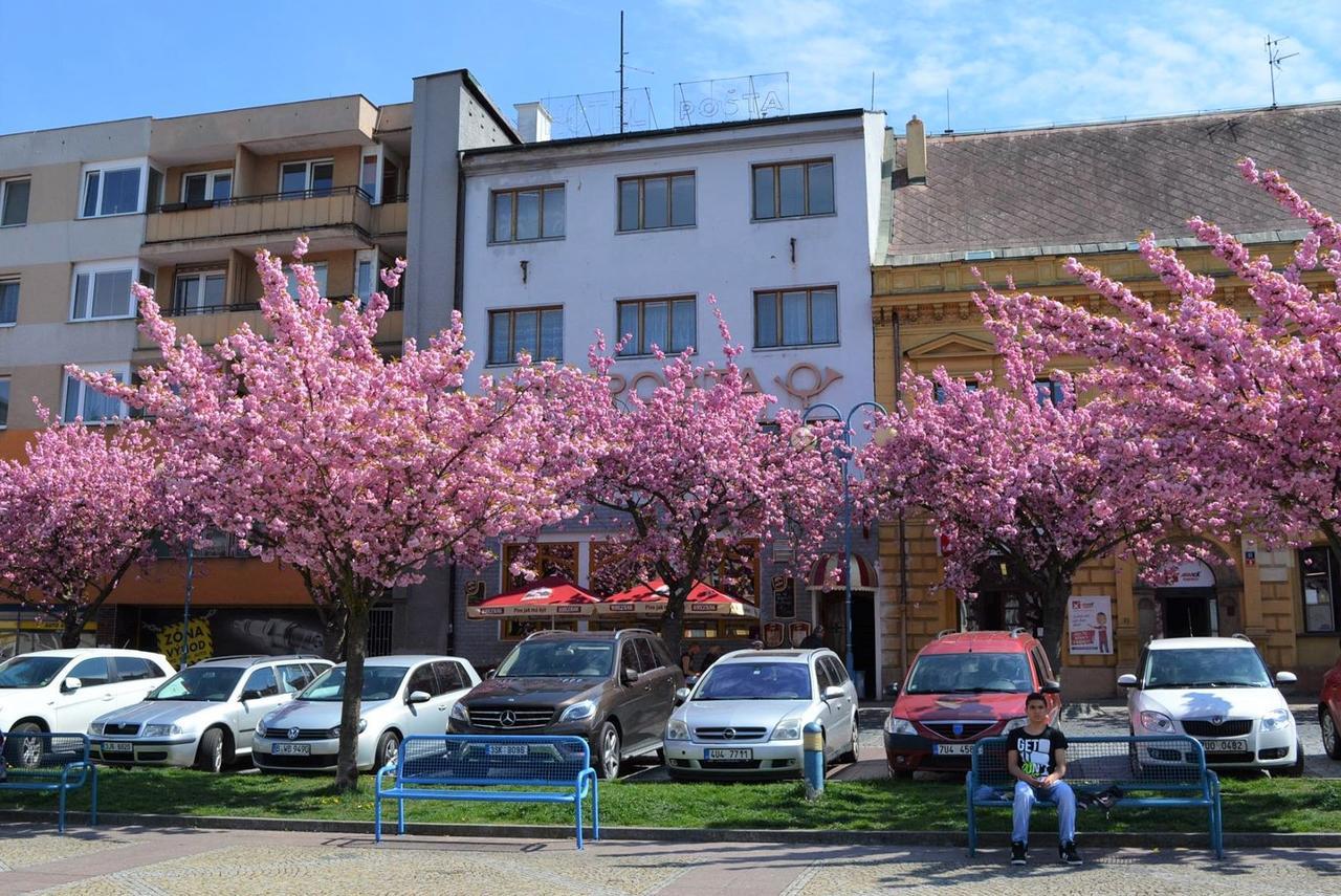 Hotel Posta Decin Extérieur photo